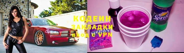 крисы Абаза