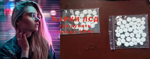 крисы Абаза