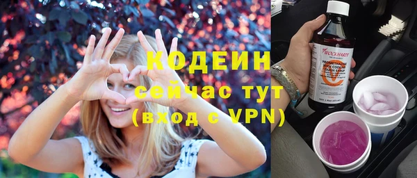 крисы Абаза