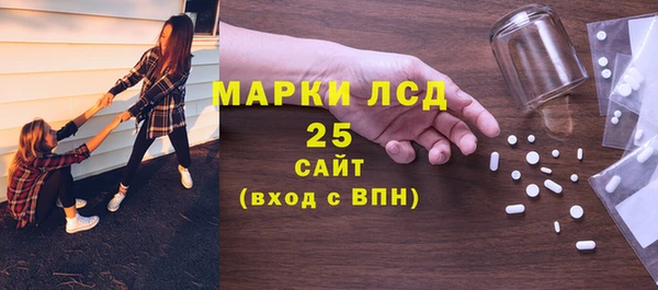крисы Абаза
