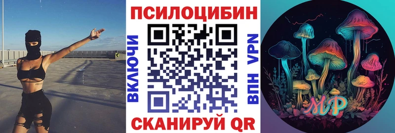 Псилоцибиновые грибы Psilocybe Шахты