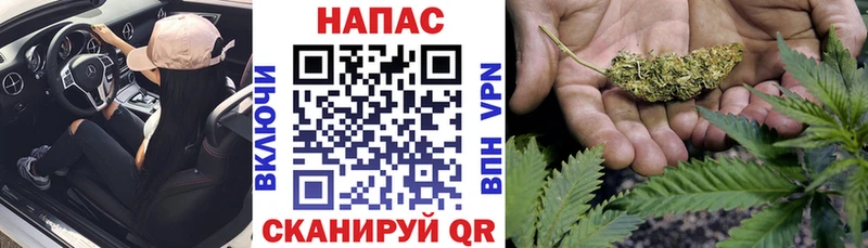 Конопля OG Kush  Шахты 